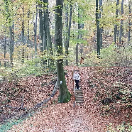 Апартаменты Sweet *