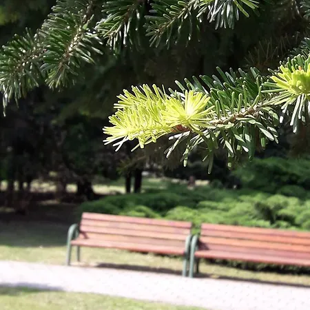 Διαμέρισμα Sweet Zalakaros